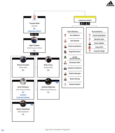 adidas hierarchy|Adidas matrix organization chart.